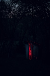 A small wooden shack in the middle of a dark forest emits an eerie red glow from within, providing a stark contrast to the surrounding darkness. The trees are dense, their branches forming an intricate network against the dimly lit sky.