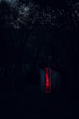 A small wooden shack in the middle of a dark forest emits an eerie red glow from within, providing a stark contrast to the surrounding darkness. The trees are dense, their branches forming an intricate network against the dimly lit sky.