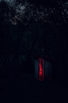 A small wooden shack in the middle of a dark forest emits an eerie red glow from within, providing a stark contrast to the surrounding darkness. The trees are dense, their branches forming an intricate network against the dimly lit sky.