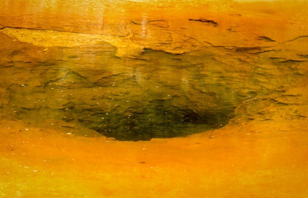 a close up of a yellow substance in a body of water