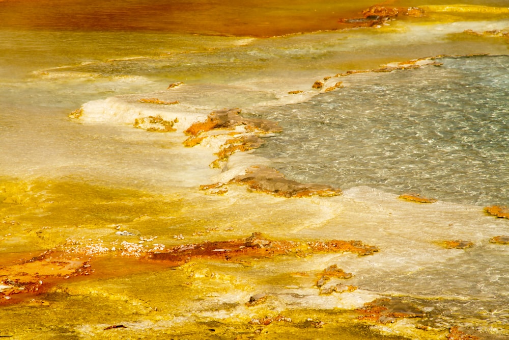 a close up of a yellow and brown substance