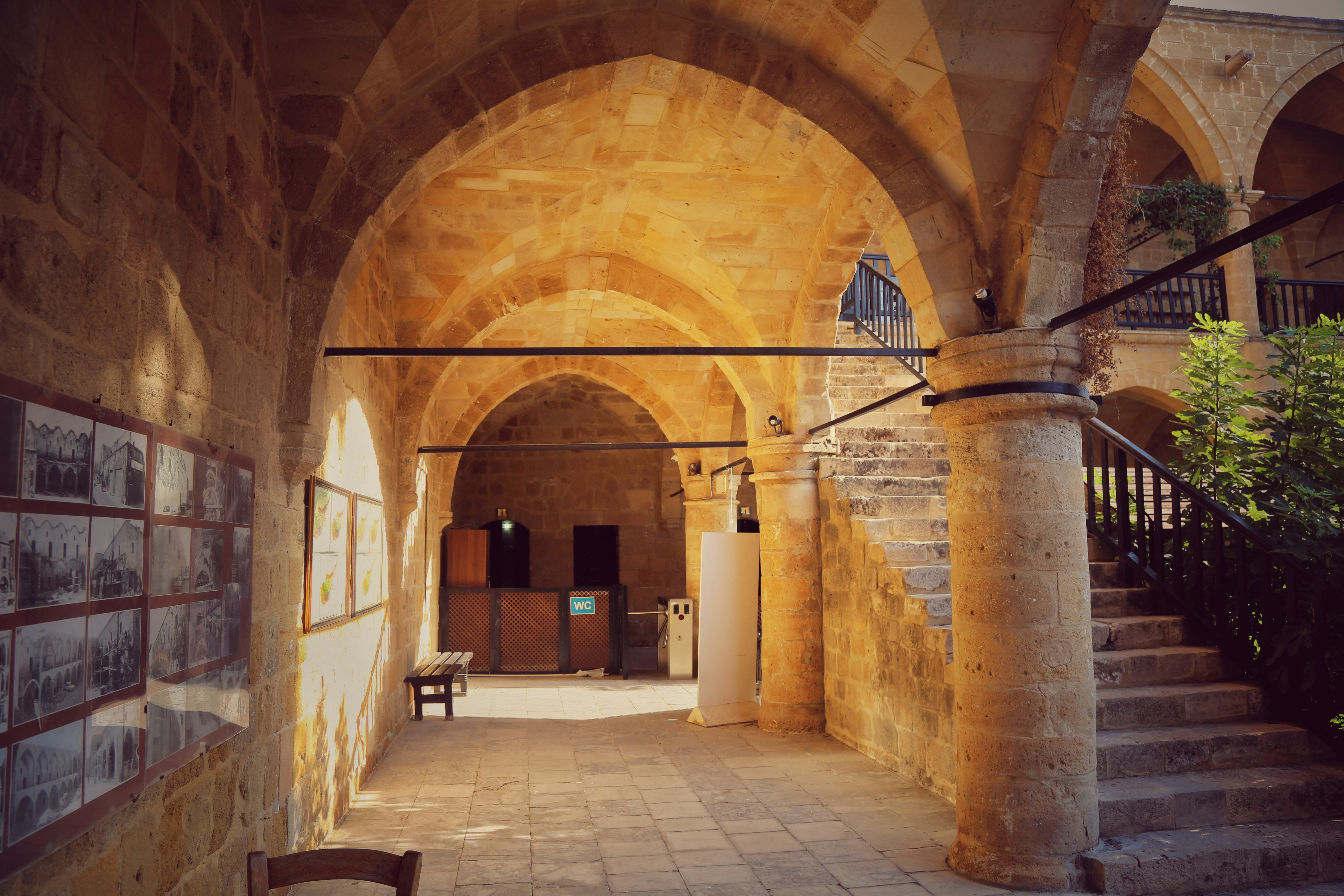 Photo by ozzzyphotos