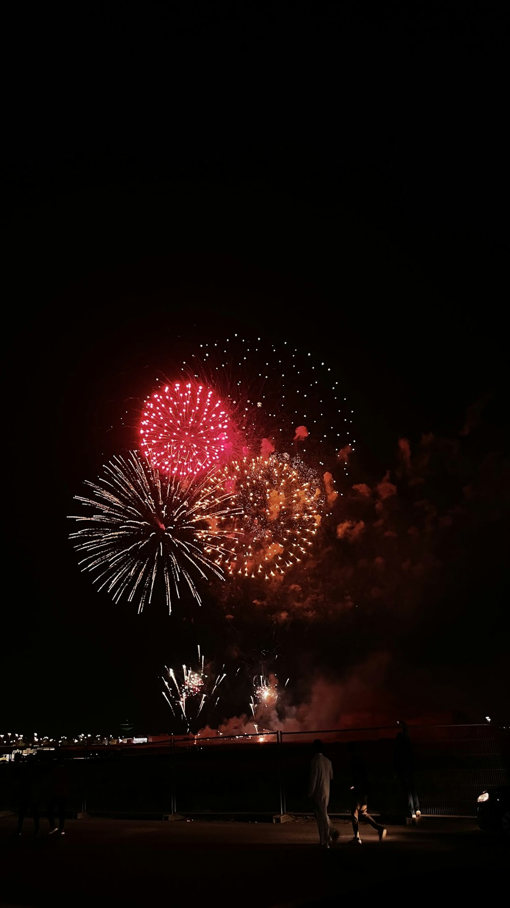 um grupo de pessoas assistindo fogos de artifício no céu noturno