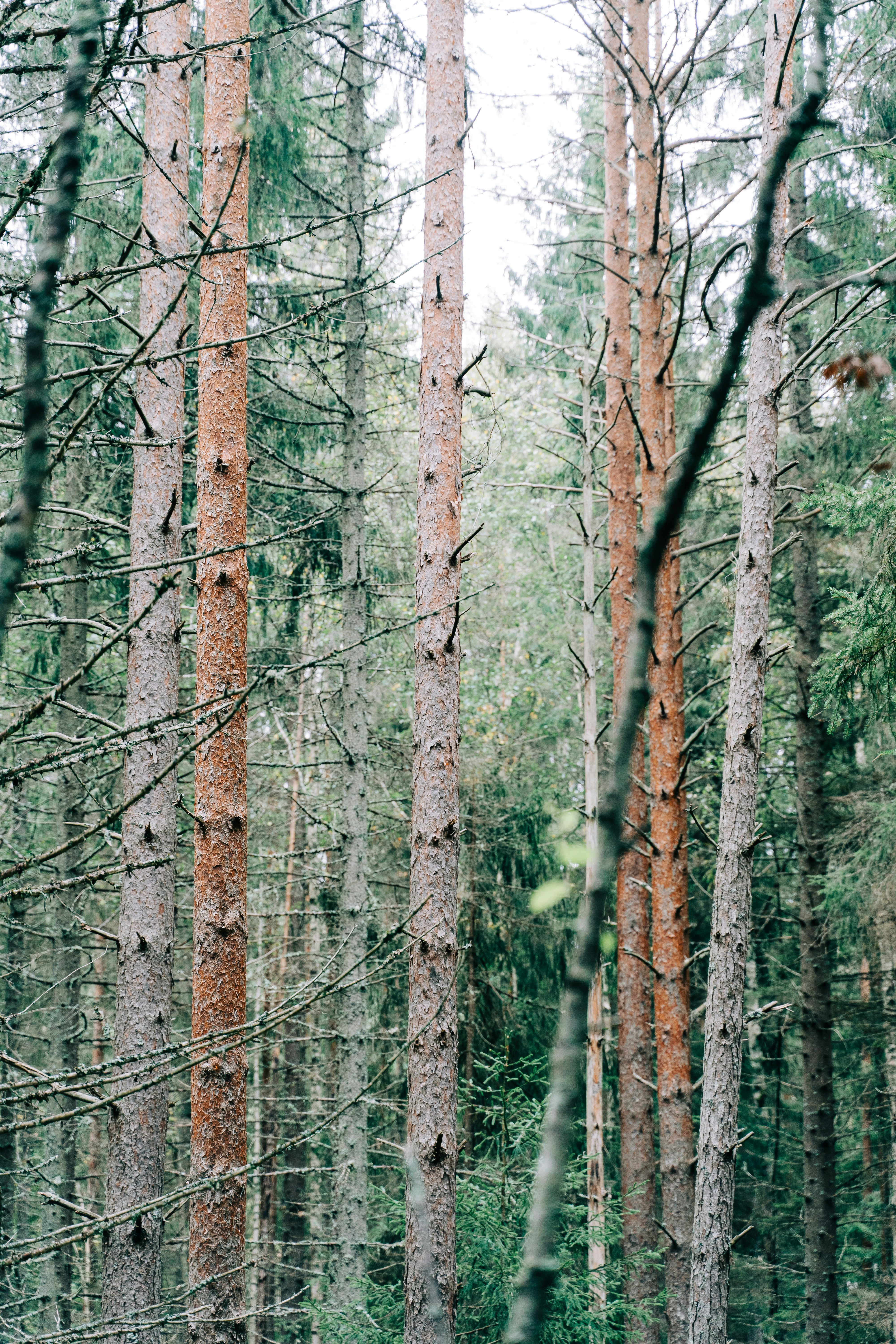 Photo by gabiontheroad