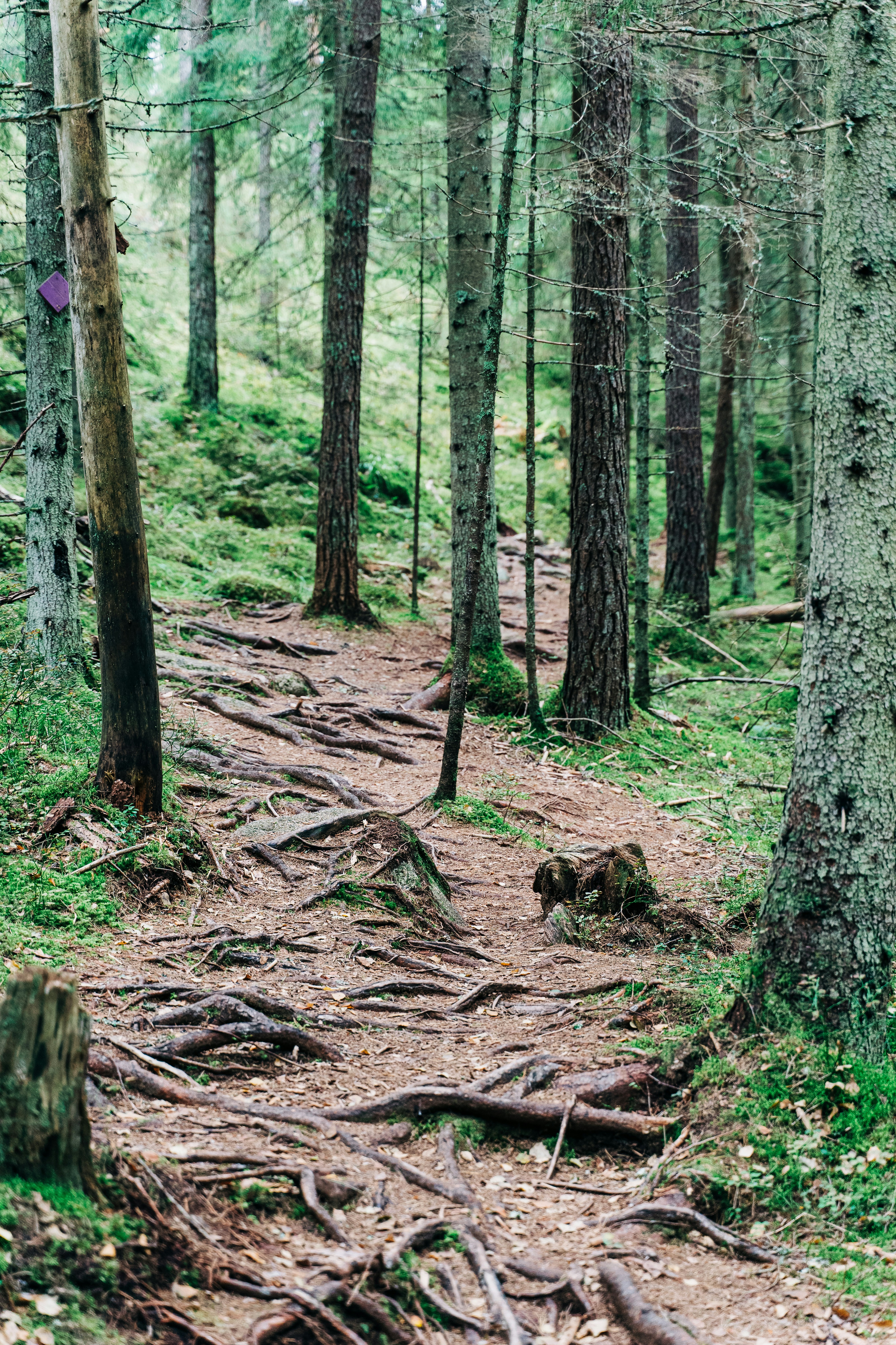 Photo by gabiontheroad