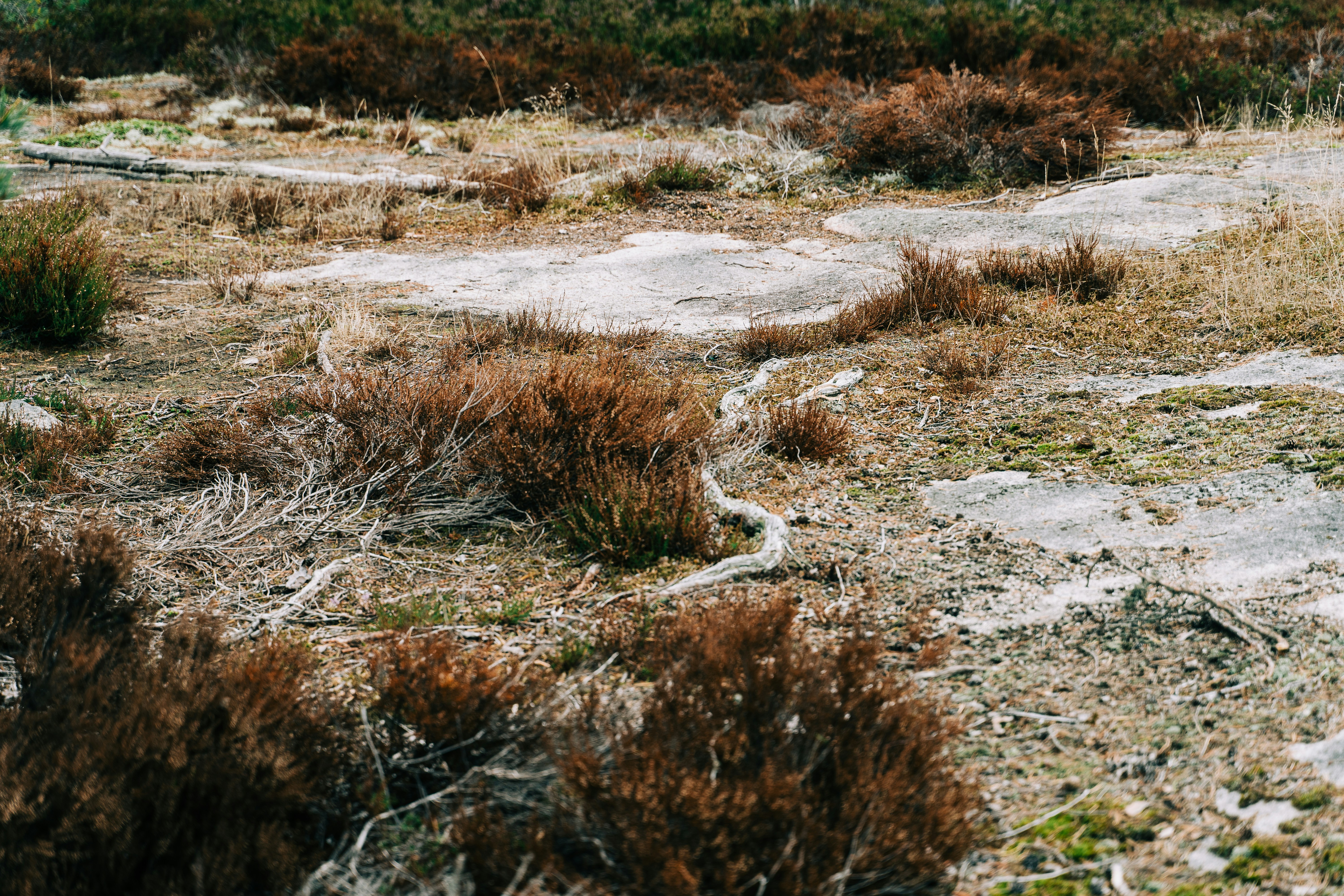 Nuuksio National Park