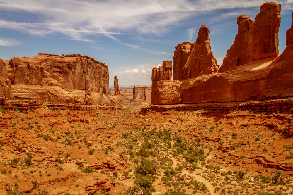 a desert landscape with rocks and plants in the foreground