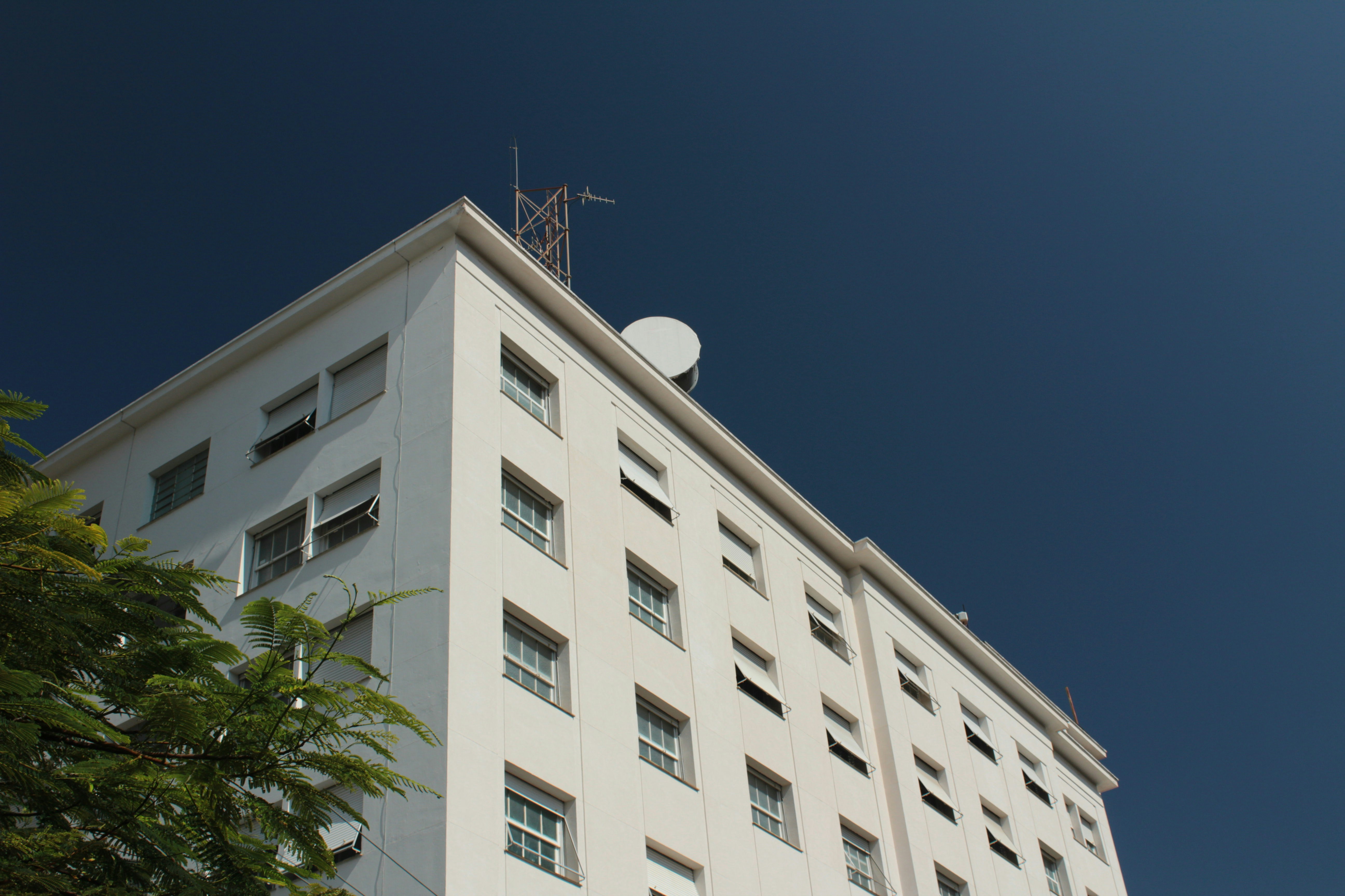 Photo by gladystonefonseca