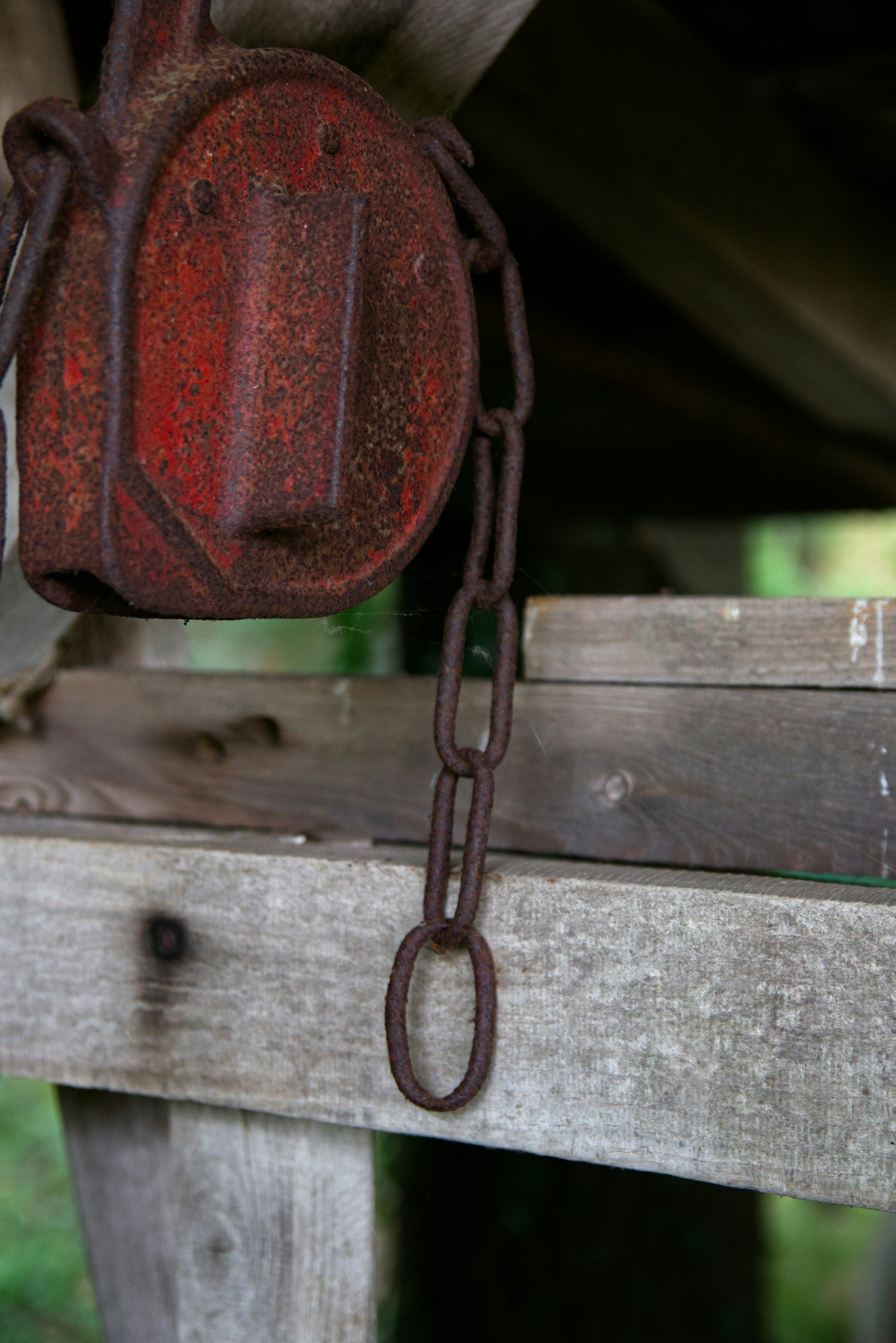 Photo by bastisurmann