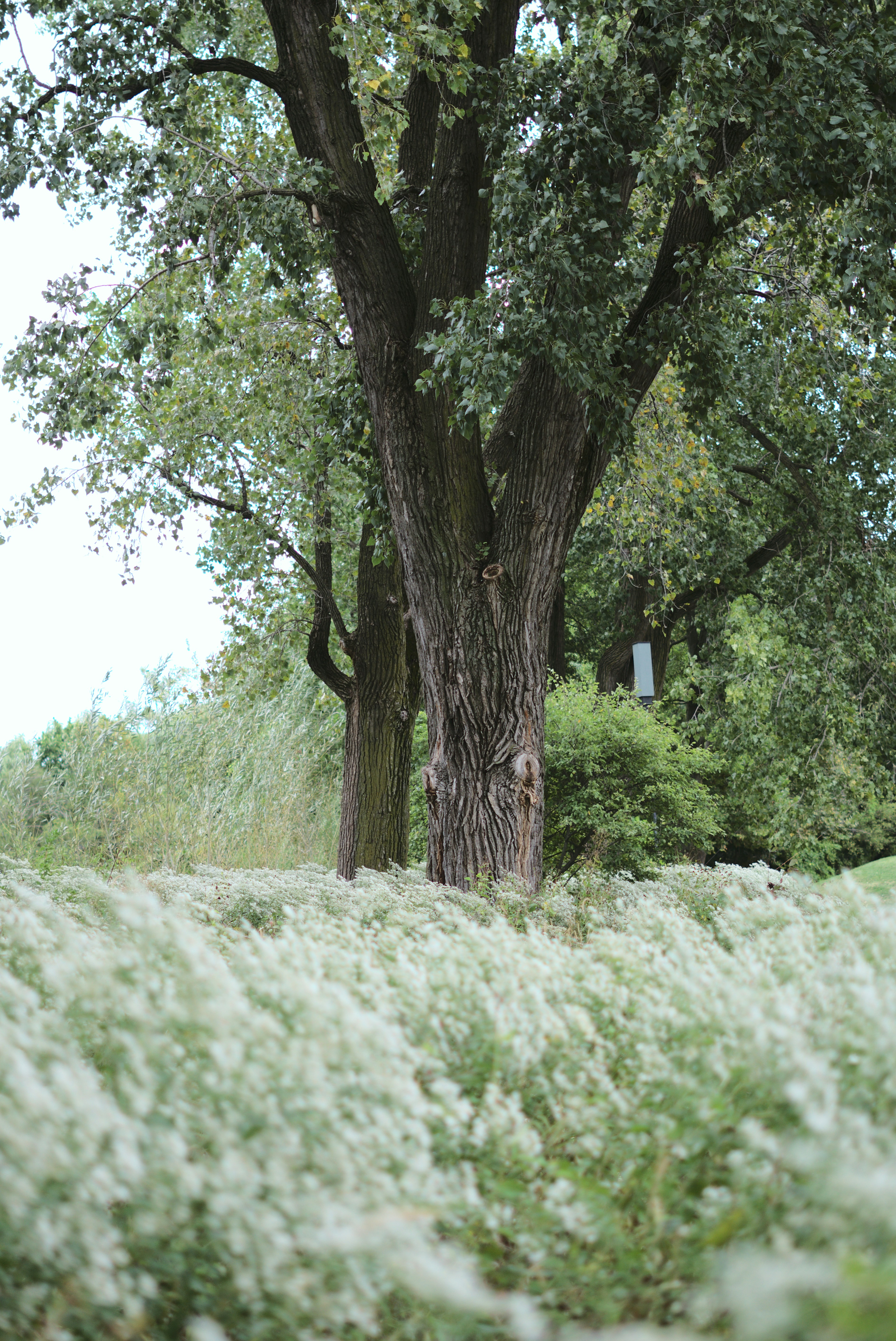 Photo by mrgreatheart