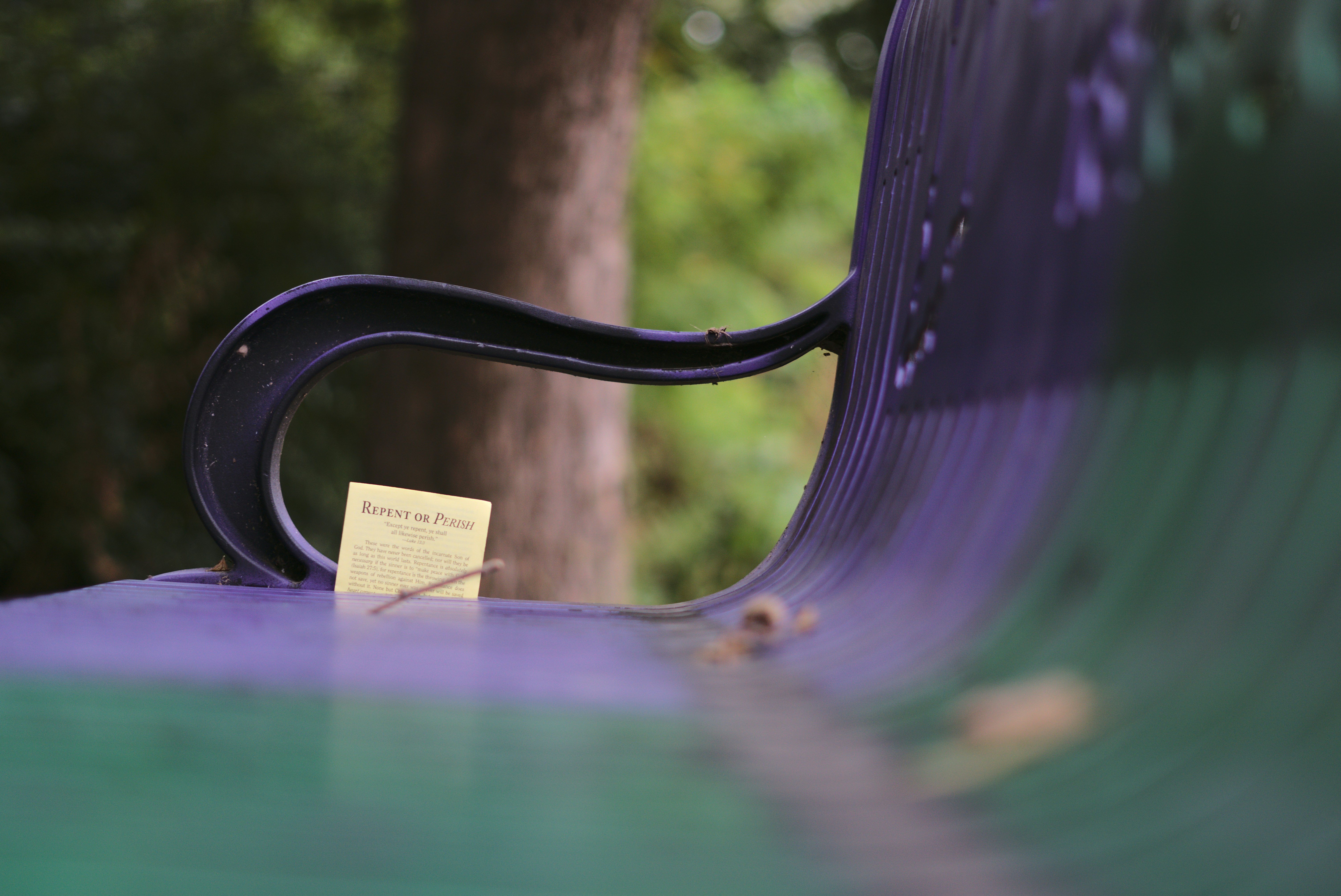 Photo by mrgreatheart