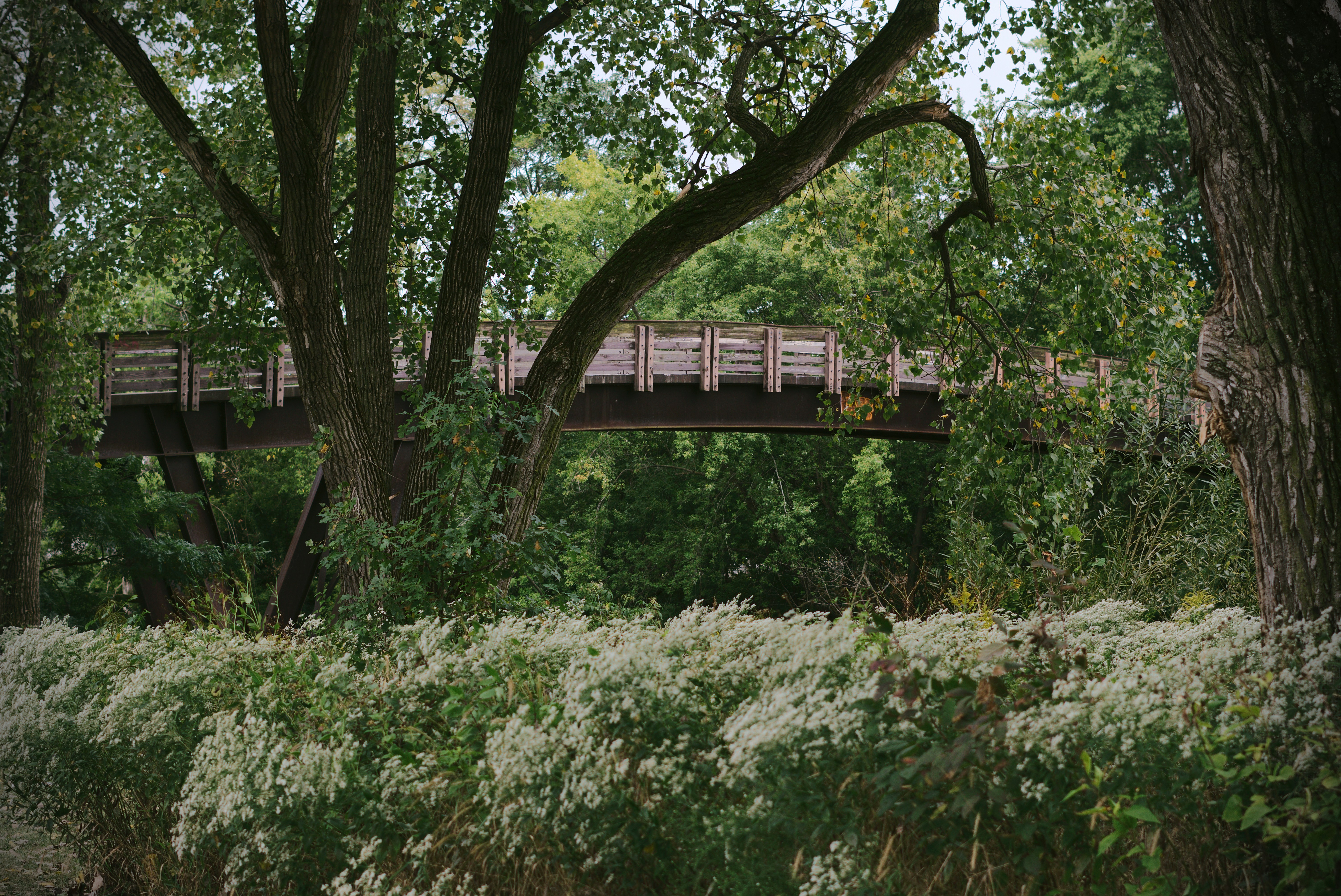 Photo by mrgreatheart