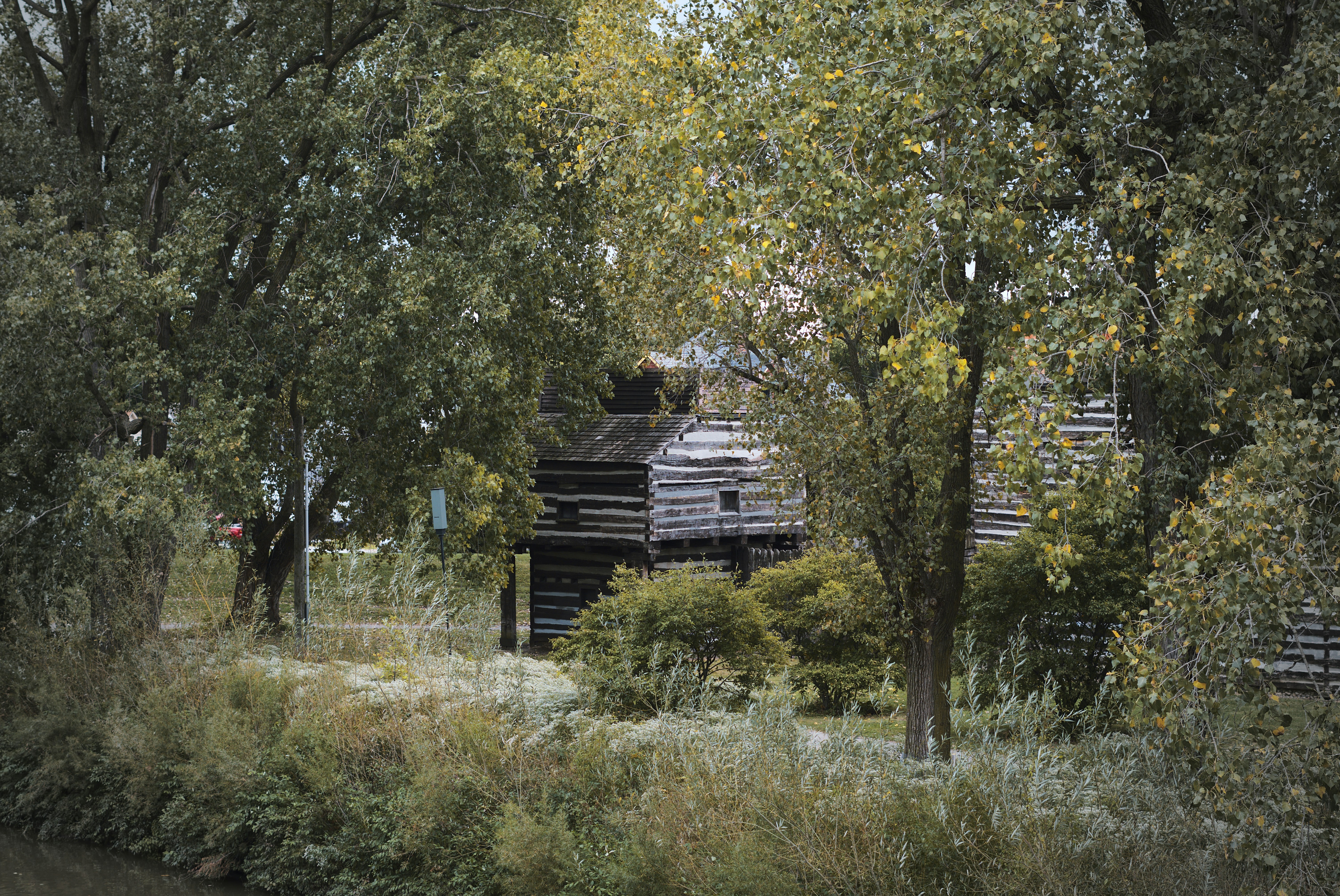 Photo by mrgreatheart