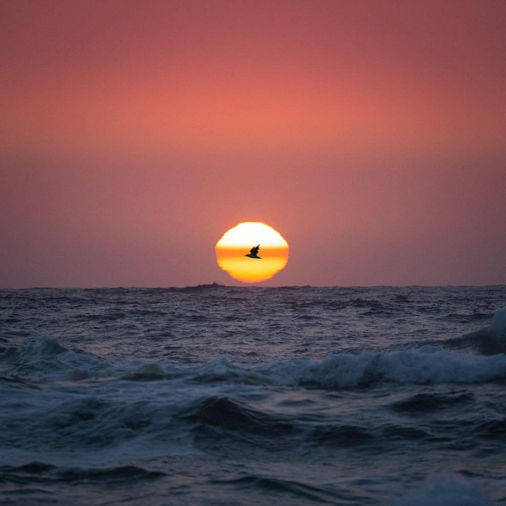 a bird flying over the ocean at sunset