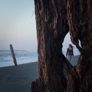 a woman standing in a hole in a tree on a beach