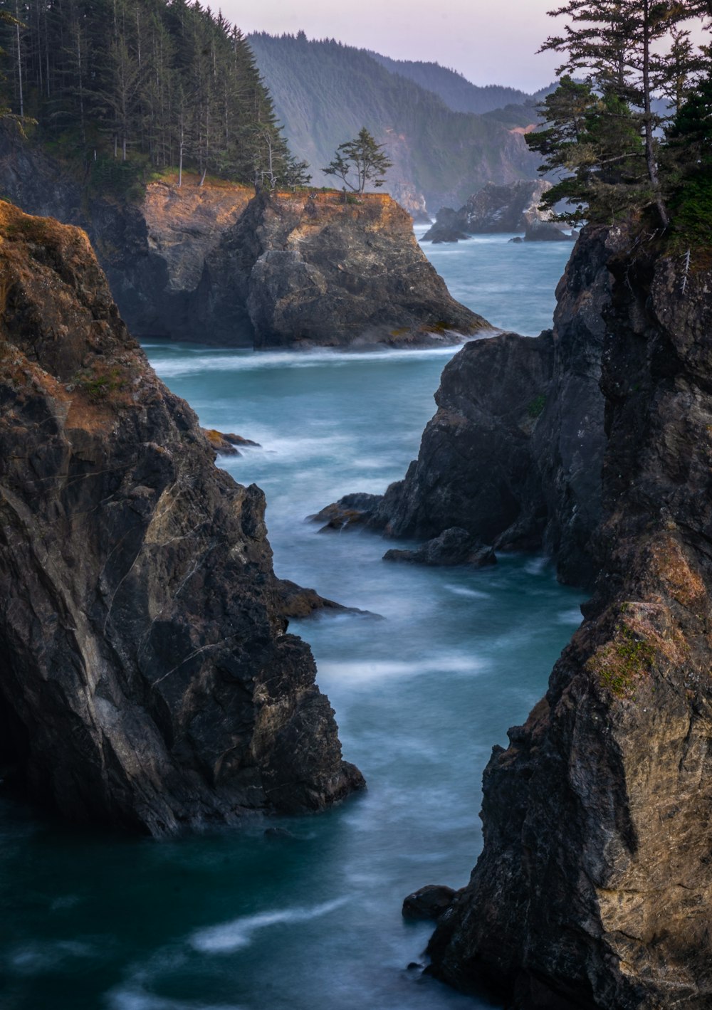 a body of water surrounded by rocks and trees