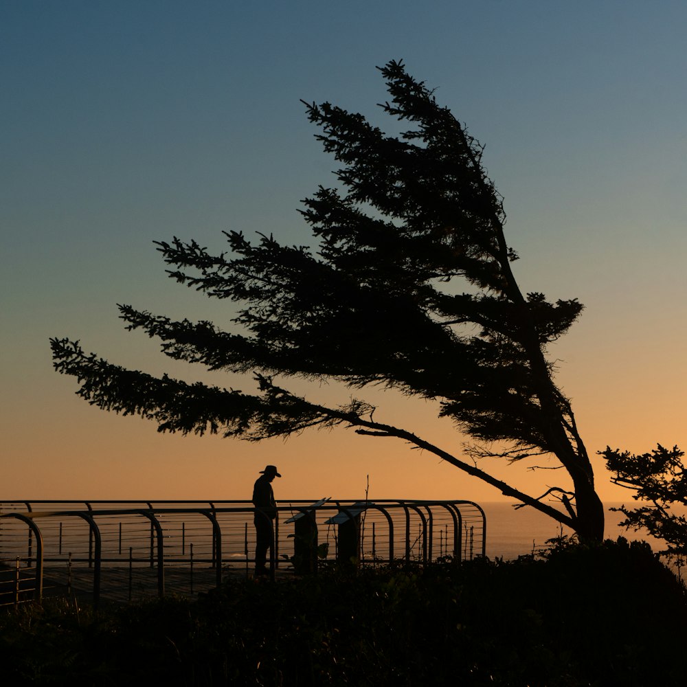 a man standing next to a tree on top of a hill