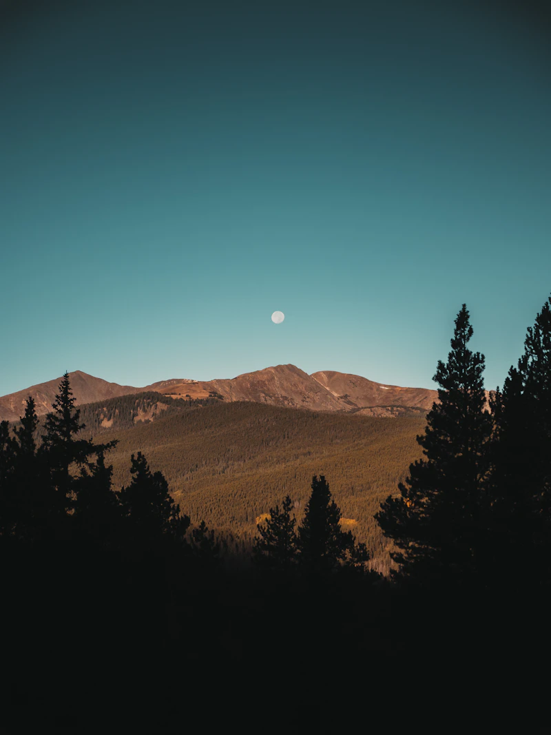 Tsukimi: Japan's Autumn Moon-Viewing