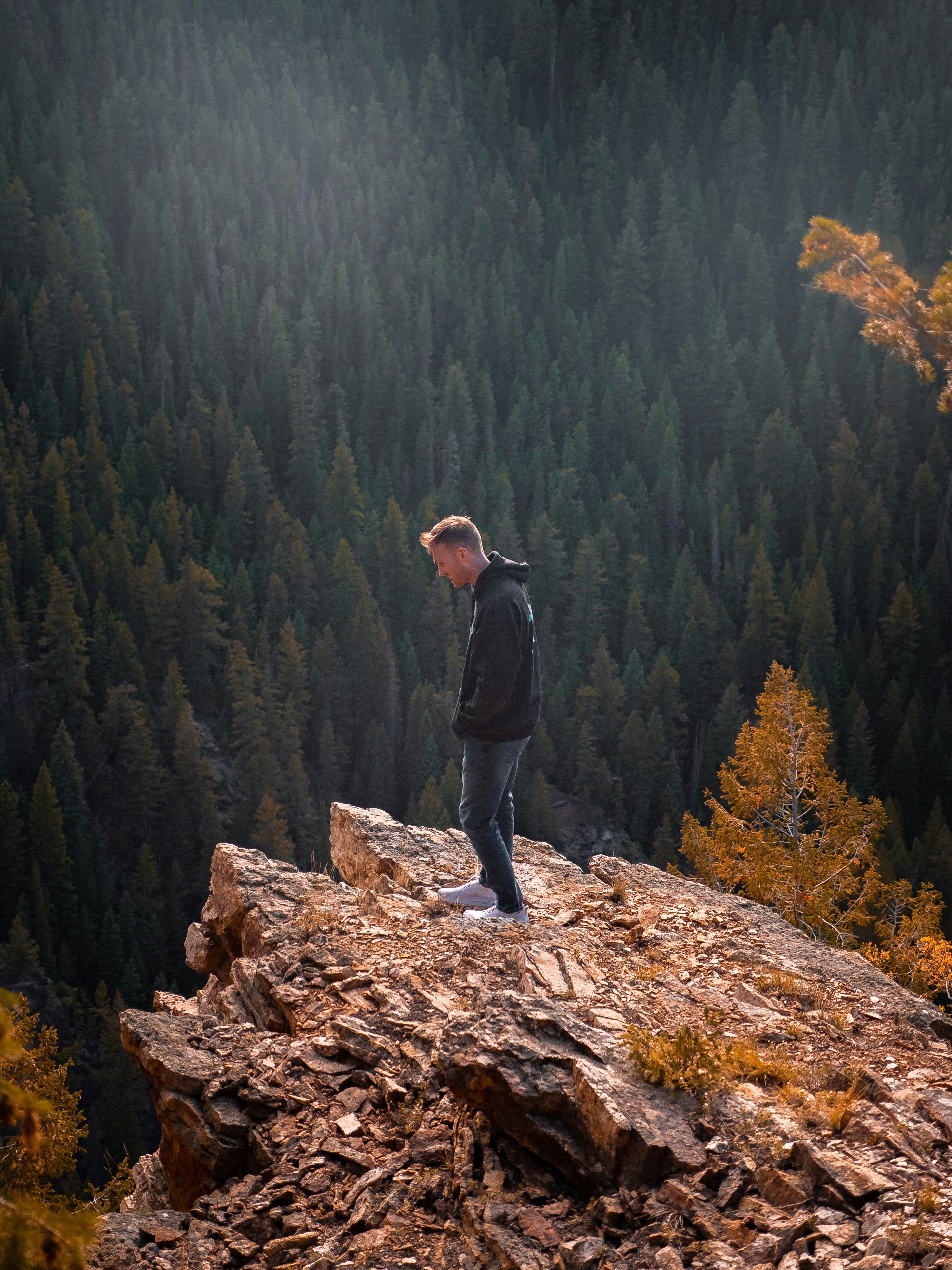 Photo by balazsbusznyak