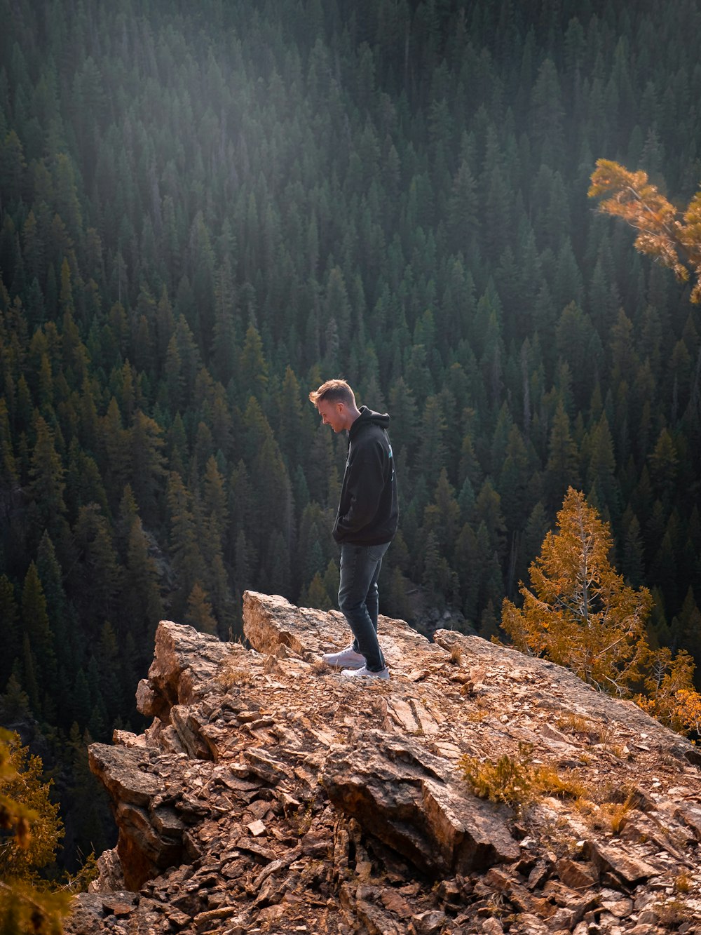 a man standing on top of a rock near a forest