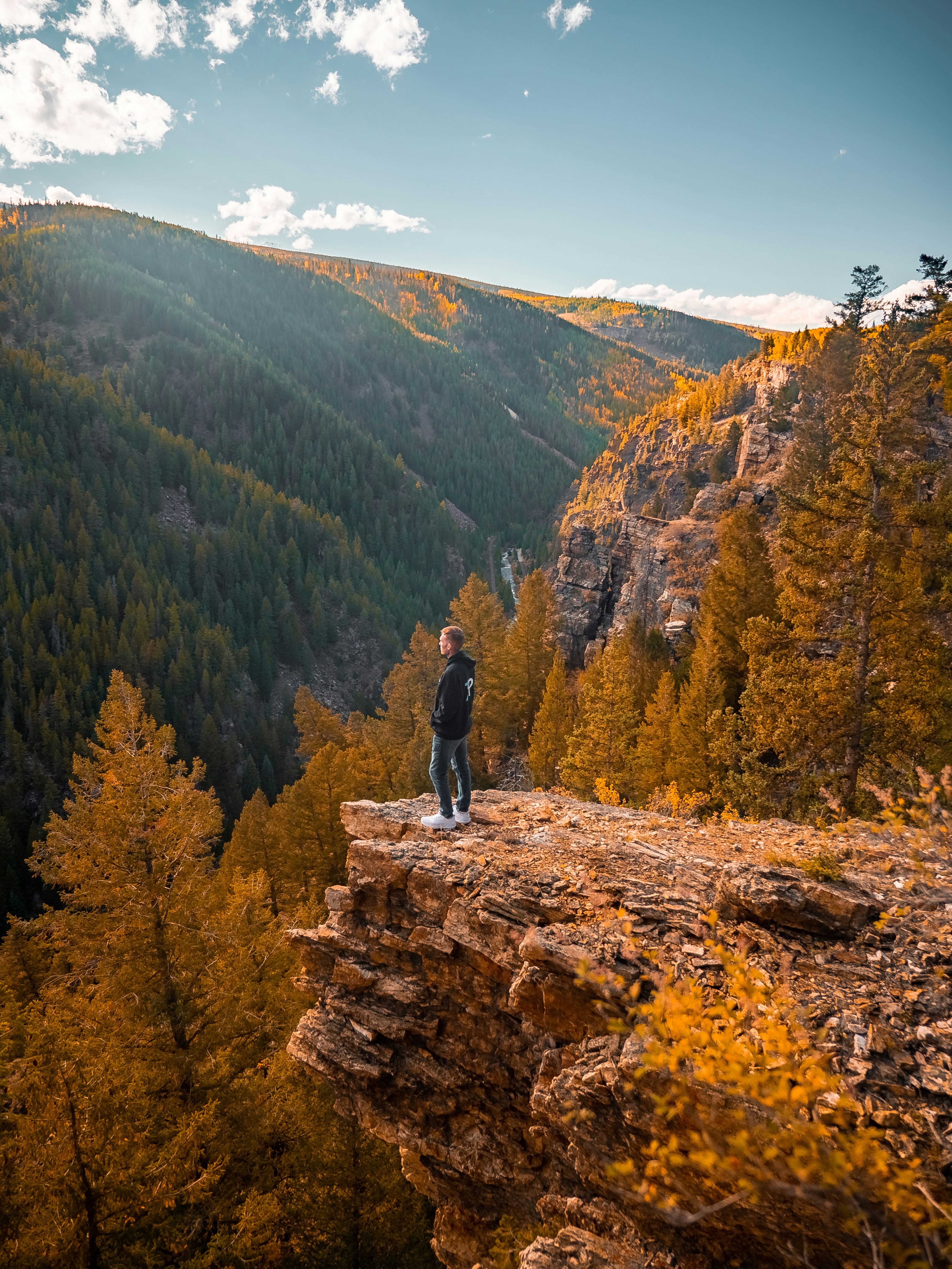 a man standing on top of a cliff next to a forest