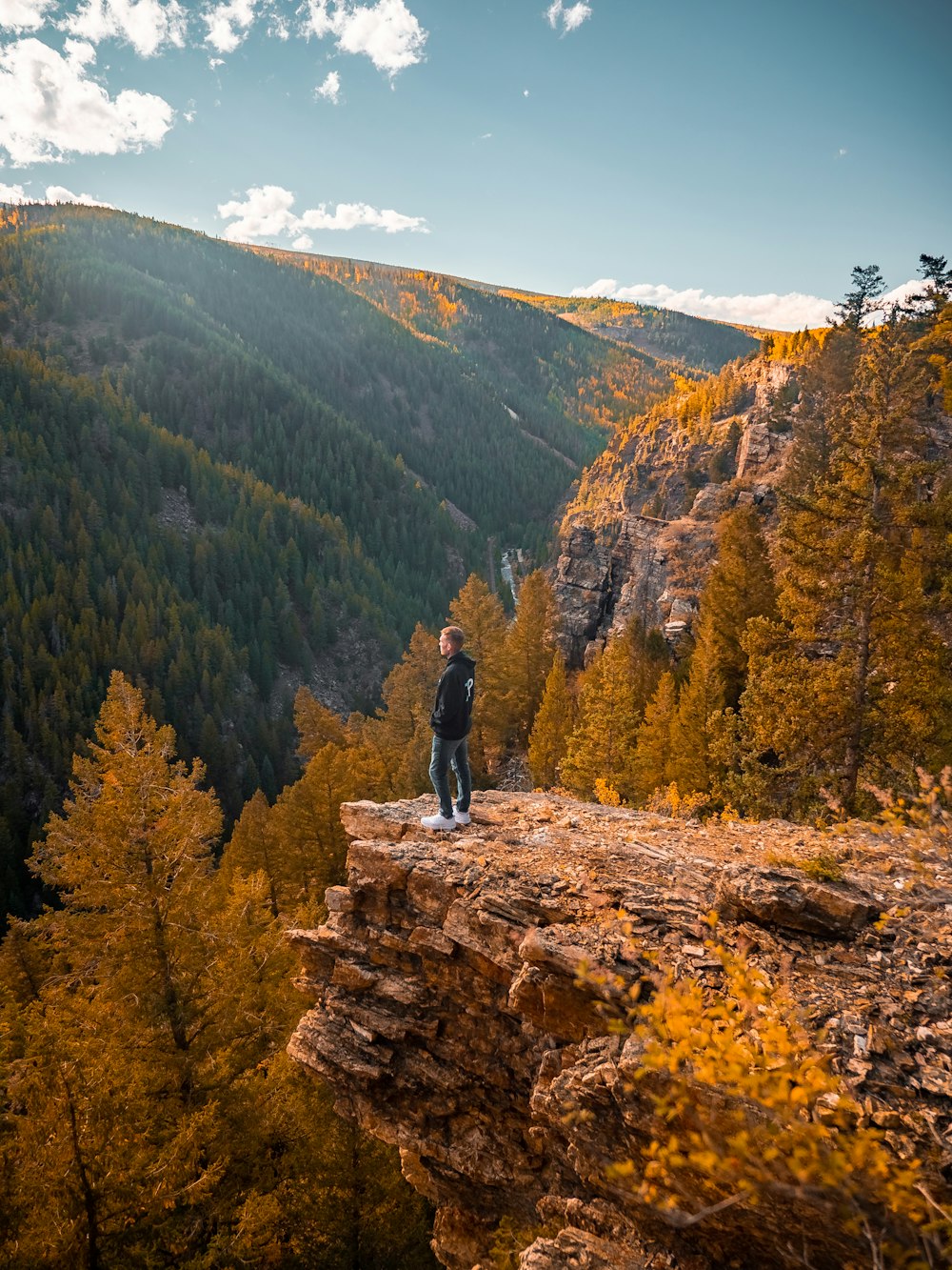 a man standing on top of a cliff next to a forest