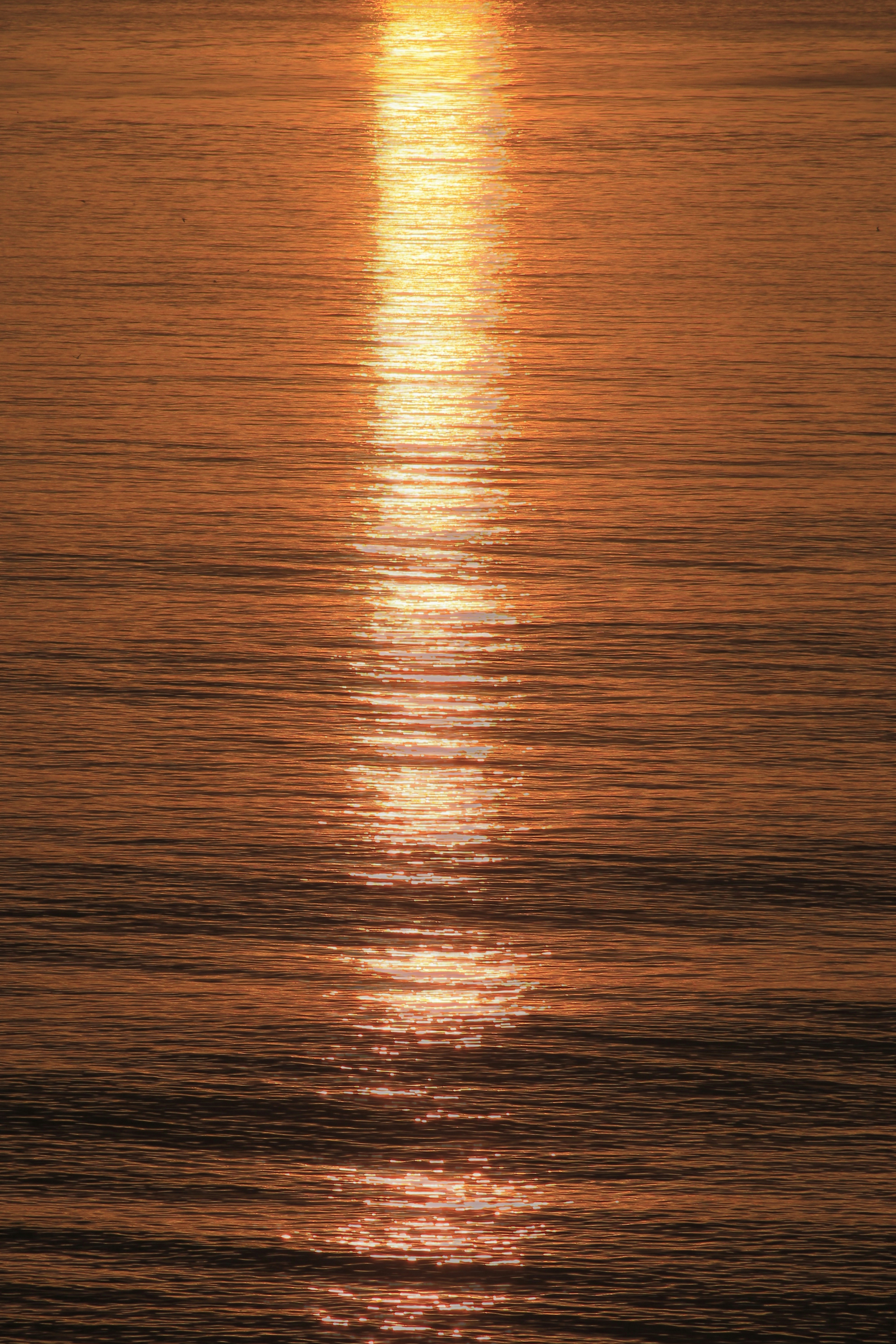 Photo by covershotsphotos