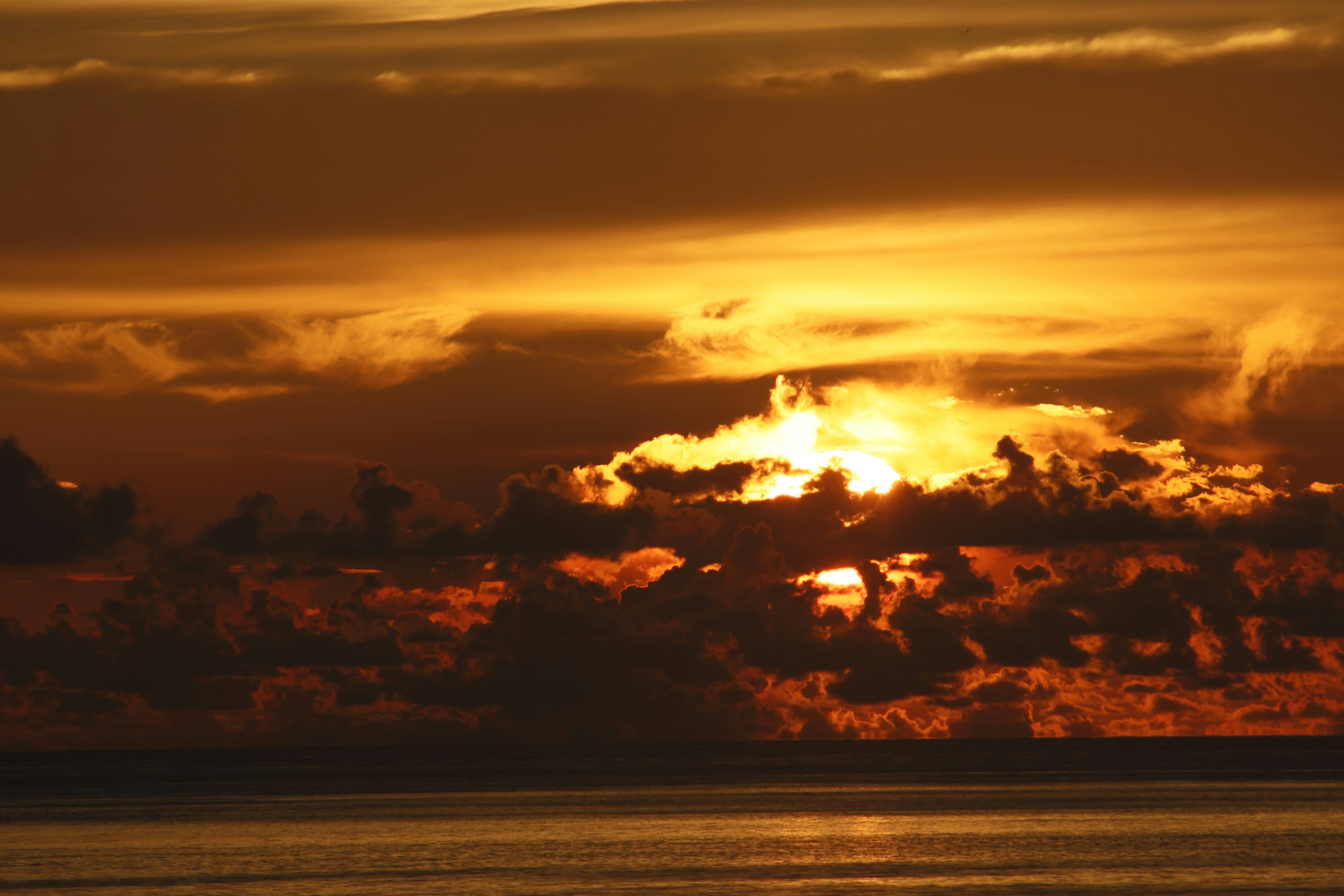 Photo by covershotsphotos