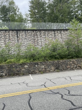 A layered landscape featuring a cracked paved road with yellow lines, a lower stone wall, and a higher rock wall adorned with greenery. Behind the rock wall, there is a metal fence and dense trees in the background under a cloudy sky.