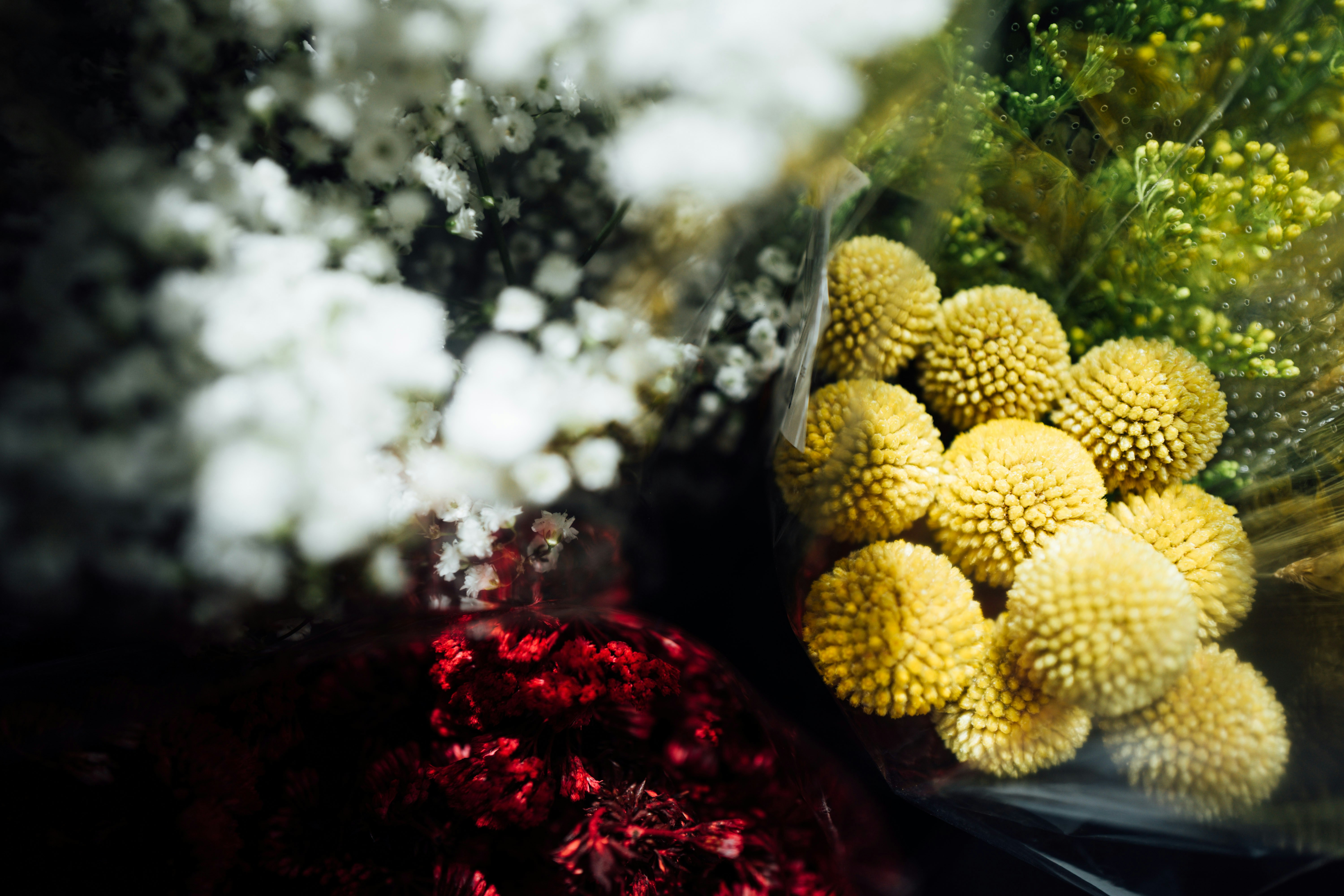 Photo by chuttersnap