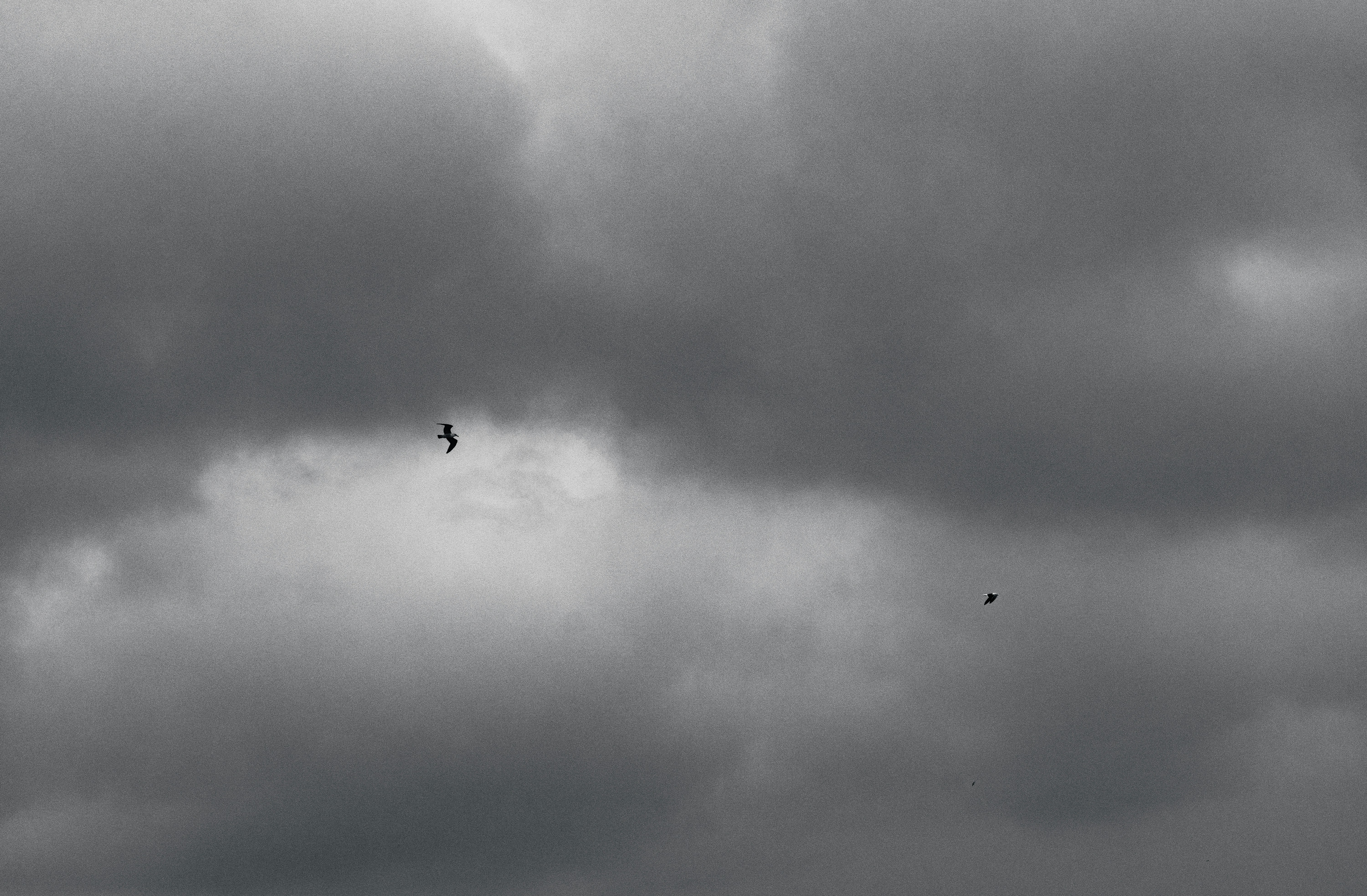 Photo by paulberthelon