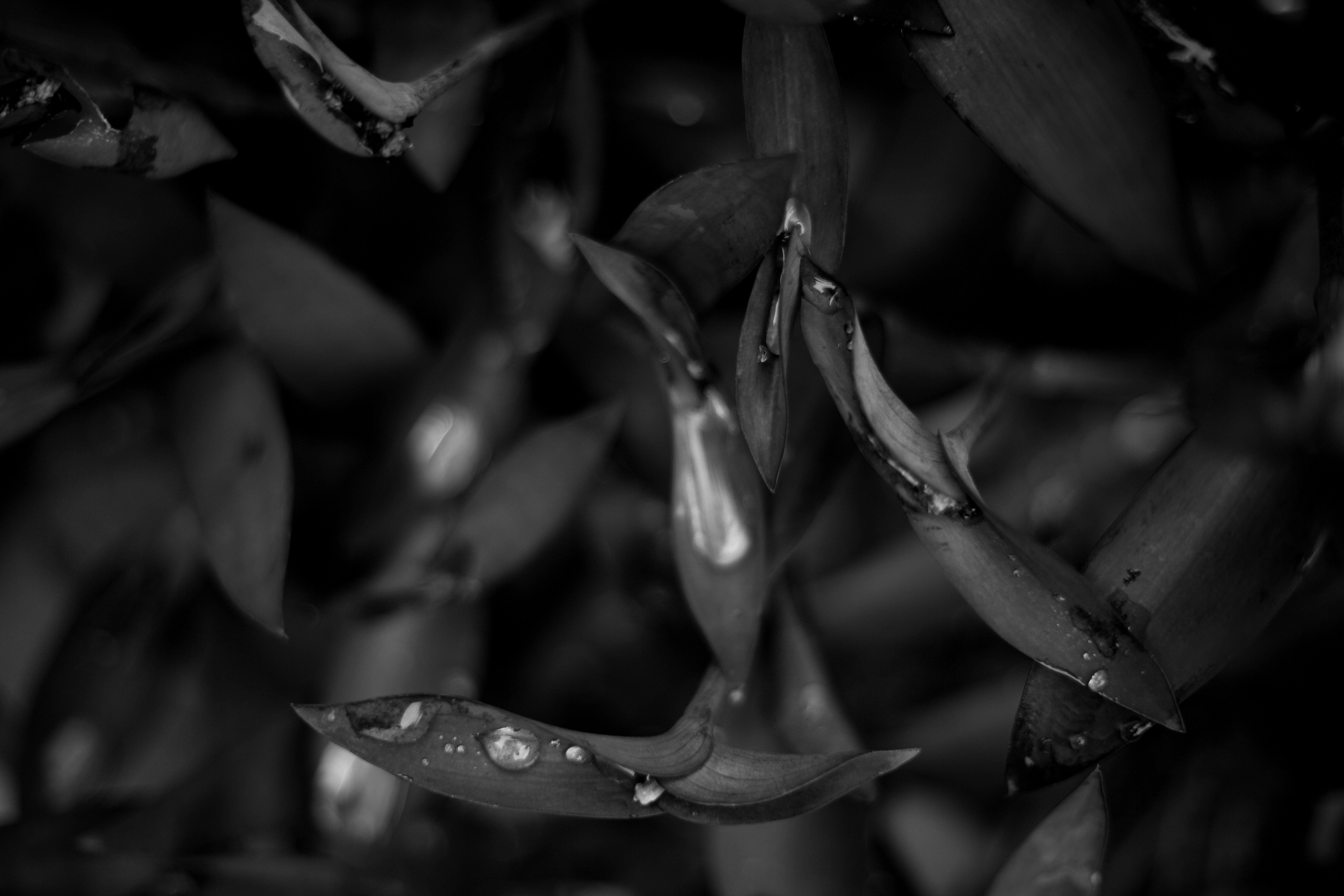 Photo by tamarushphotos