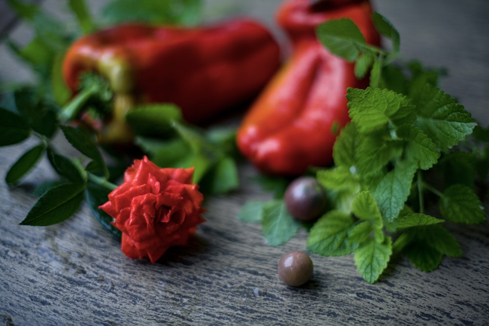 a close up of a bunch of vegetables on a table