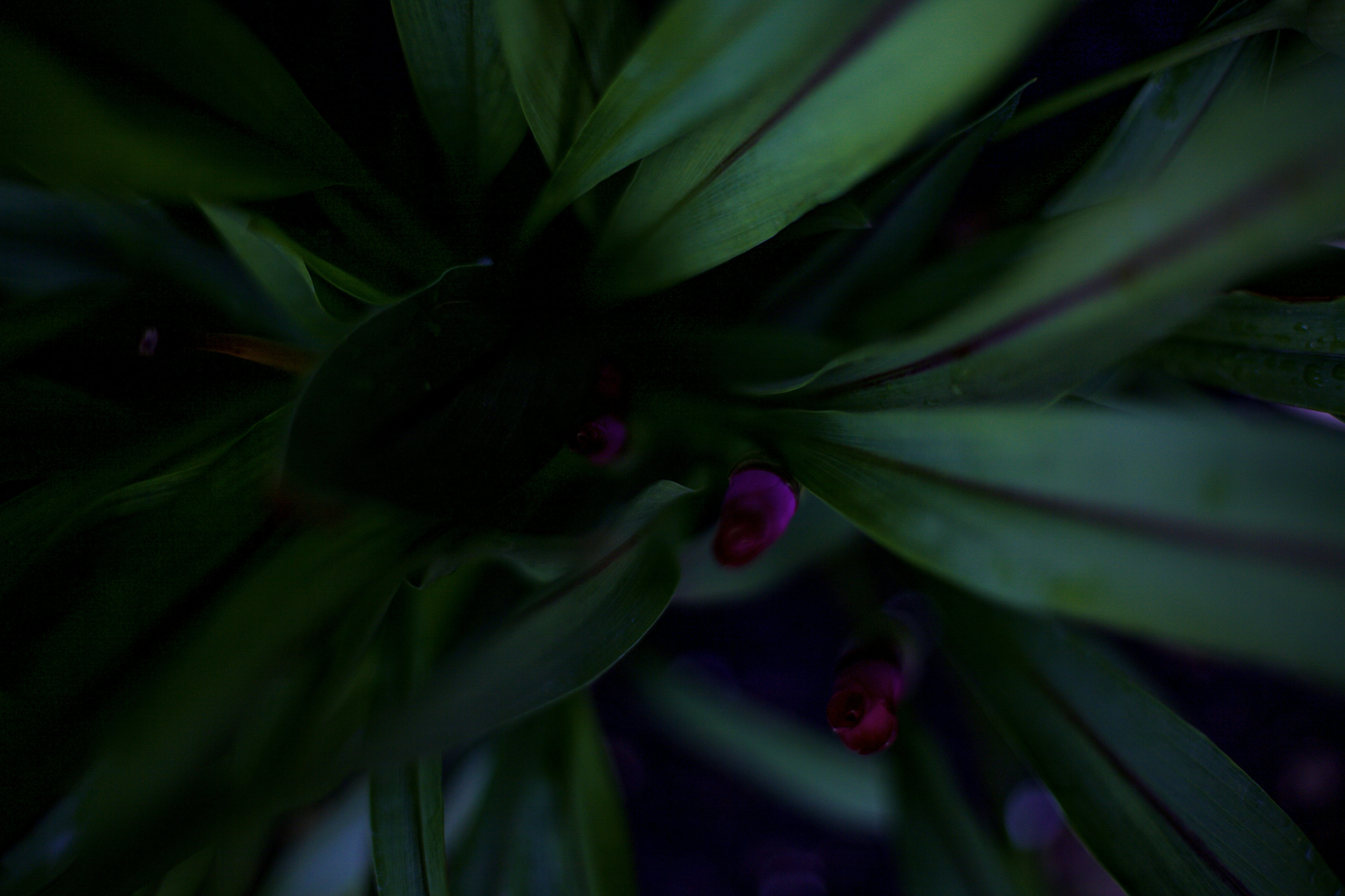 Photo by tamarushphotos