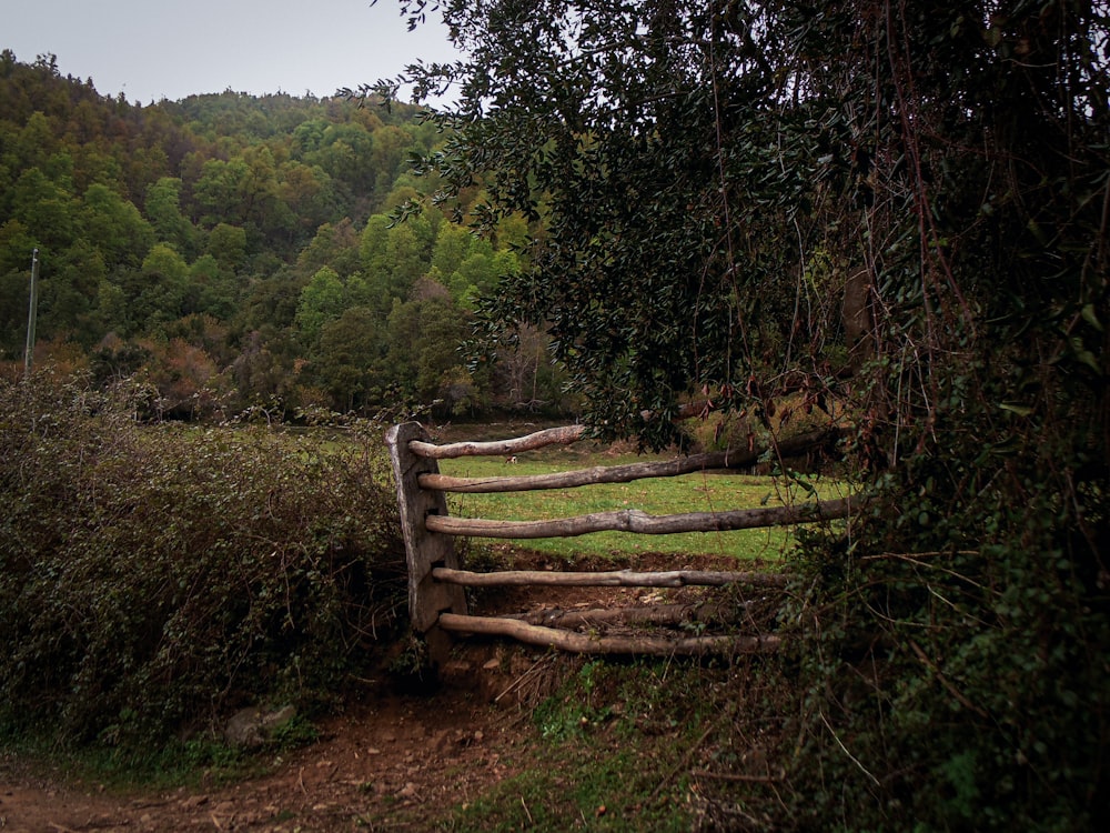 a wooden fence made out of logs in the woods