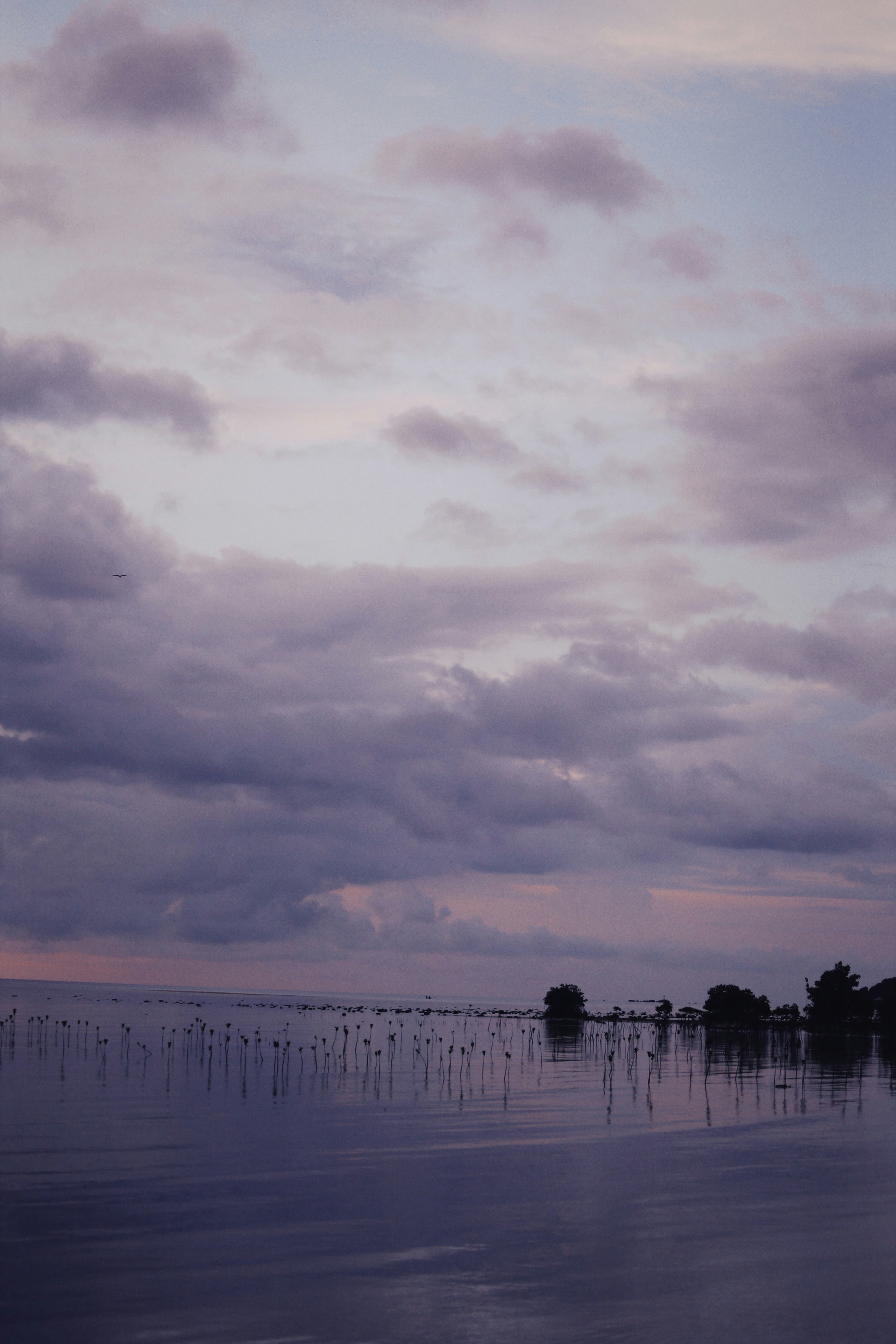 Photo by alexeydemidov