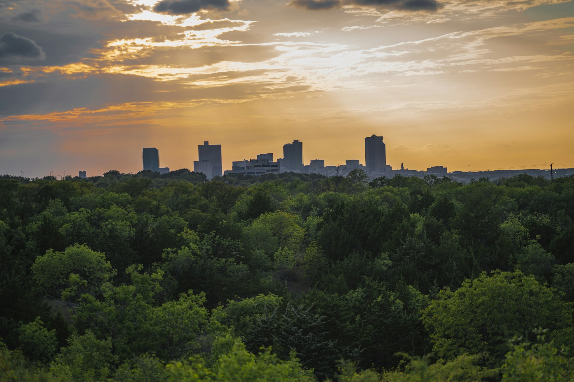 Exploring Fort Worth: A Local Guide