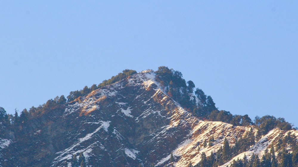 a snow covered mountain with trees in the foreground