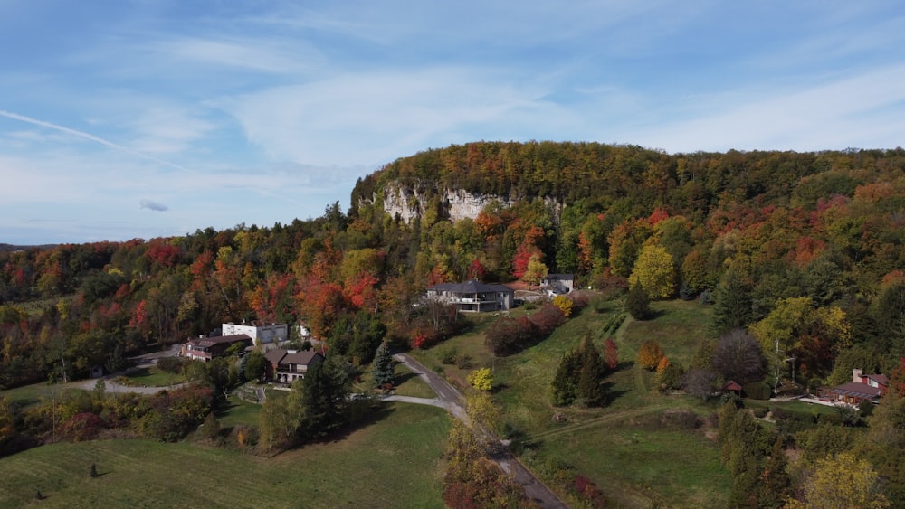 an aerial view of a village surrounded by trees