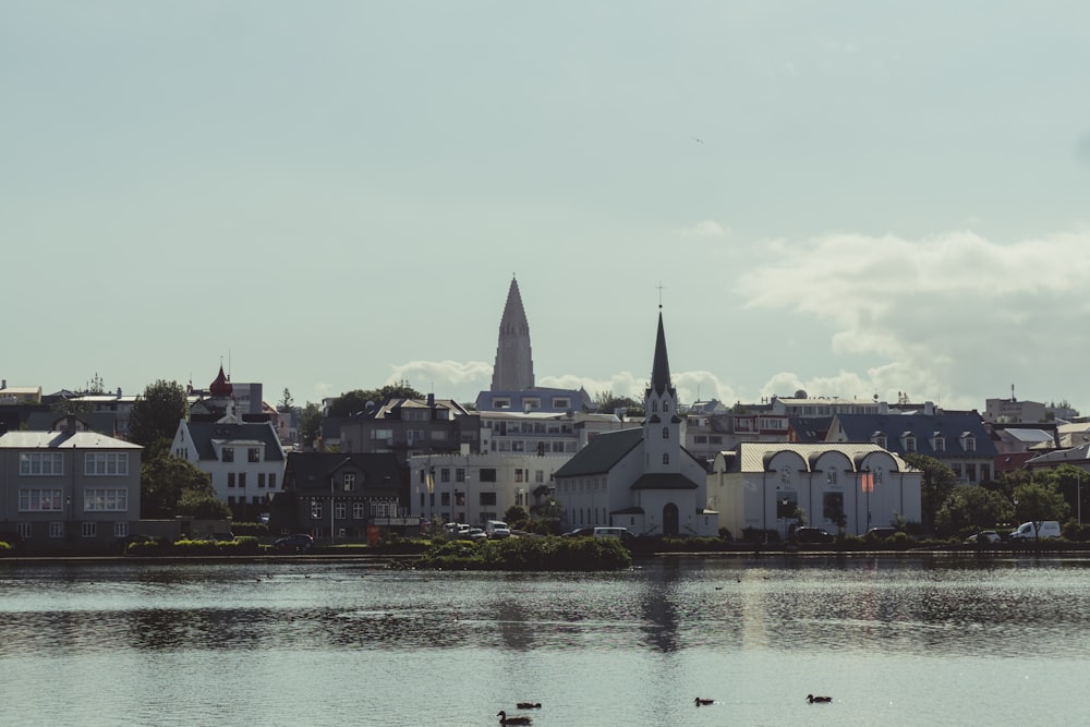 a view of a city from across a lake