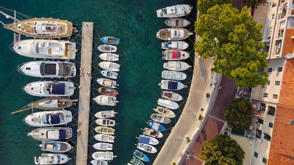 a bunch of boats that are in the water