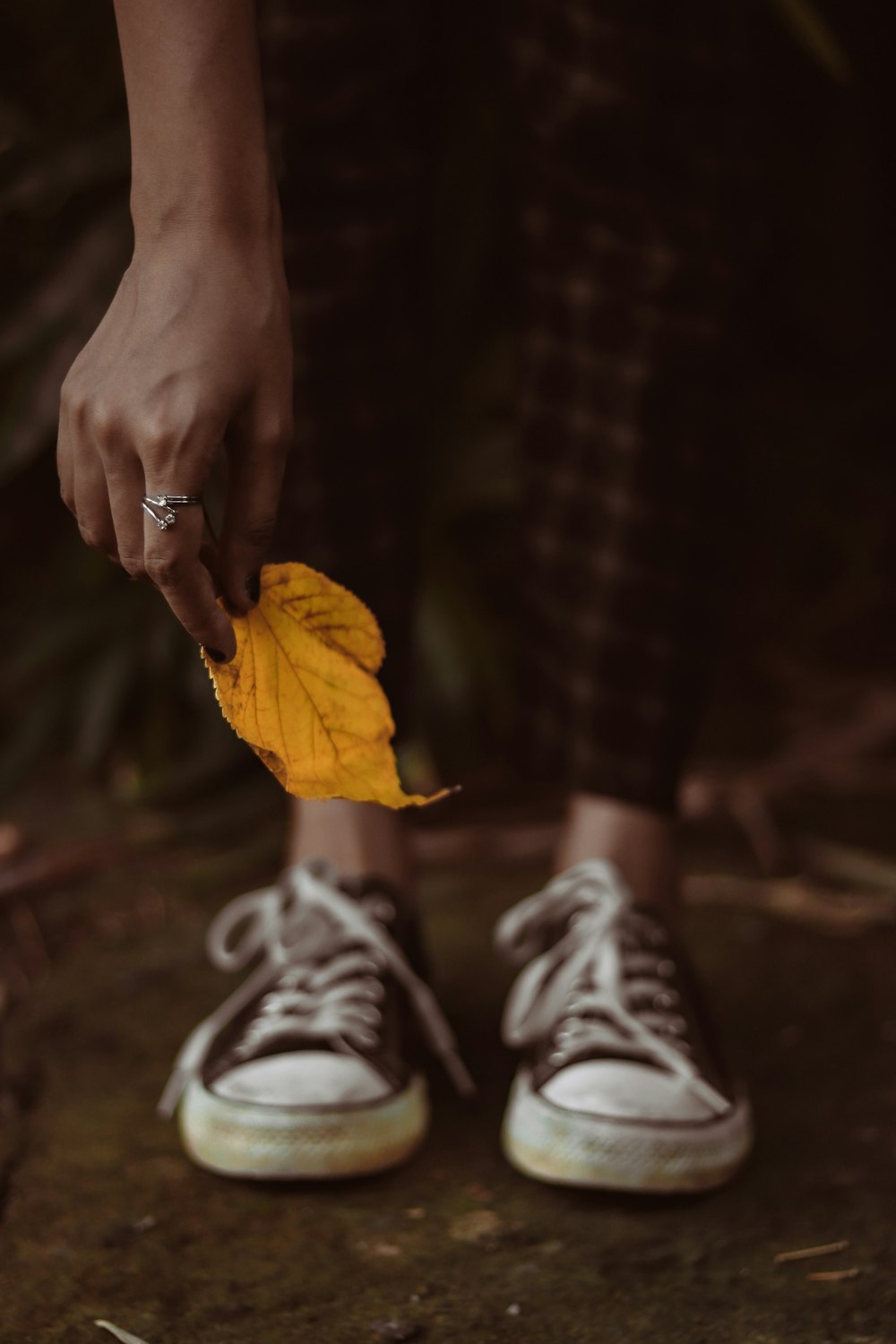 a person holding a leaf in their hand