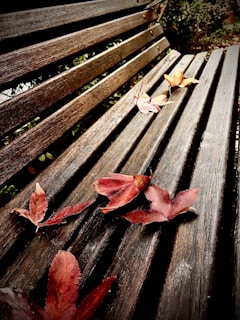 A cozy wool hat resting on a wooden bench with autumn leaves around.