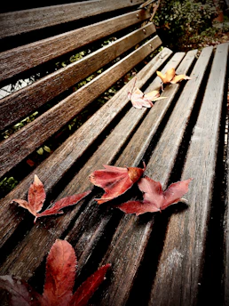A cozy scene of autumn leaves scattered on a rustic wooden bench with a soft brown scarf and natural makeup products nearby.