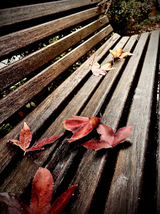 A cozy outdoor reversible throw pillow resting on a rustic wooden bench surrounded by autumn leaves.