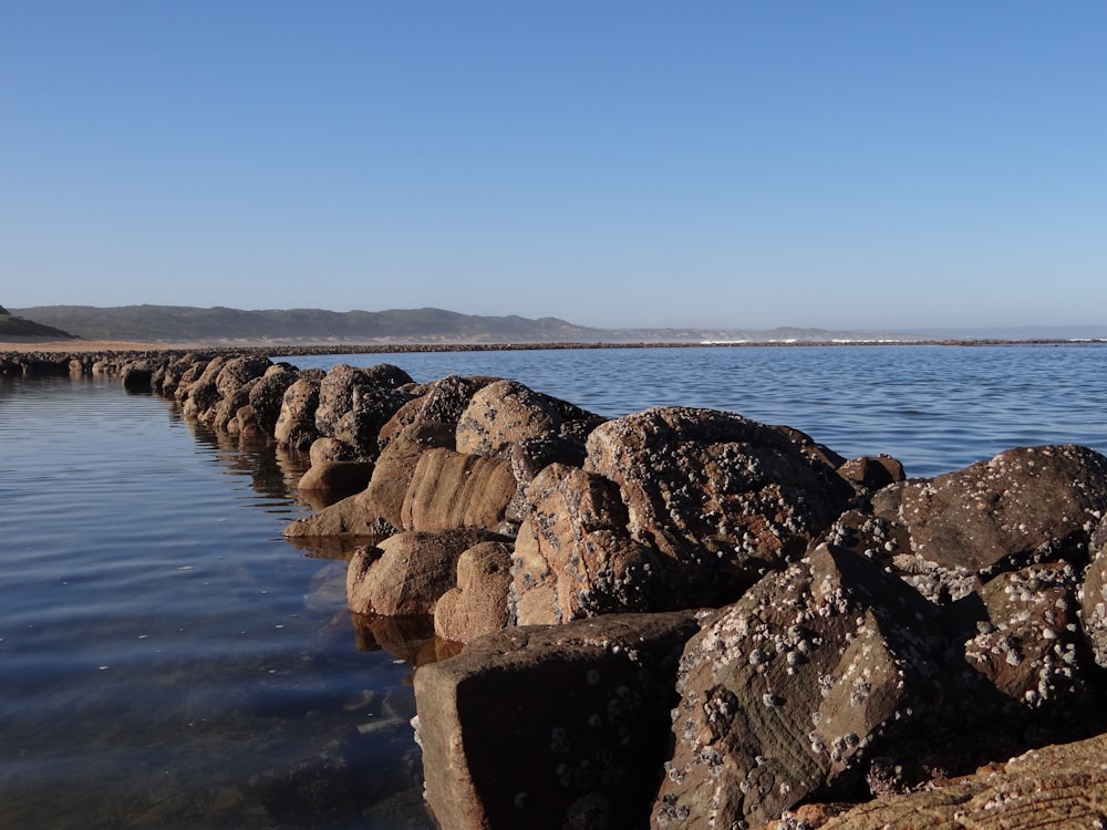 a row of rocks sitting on top of a body of water