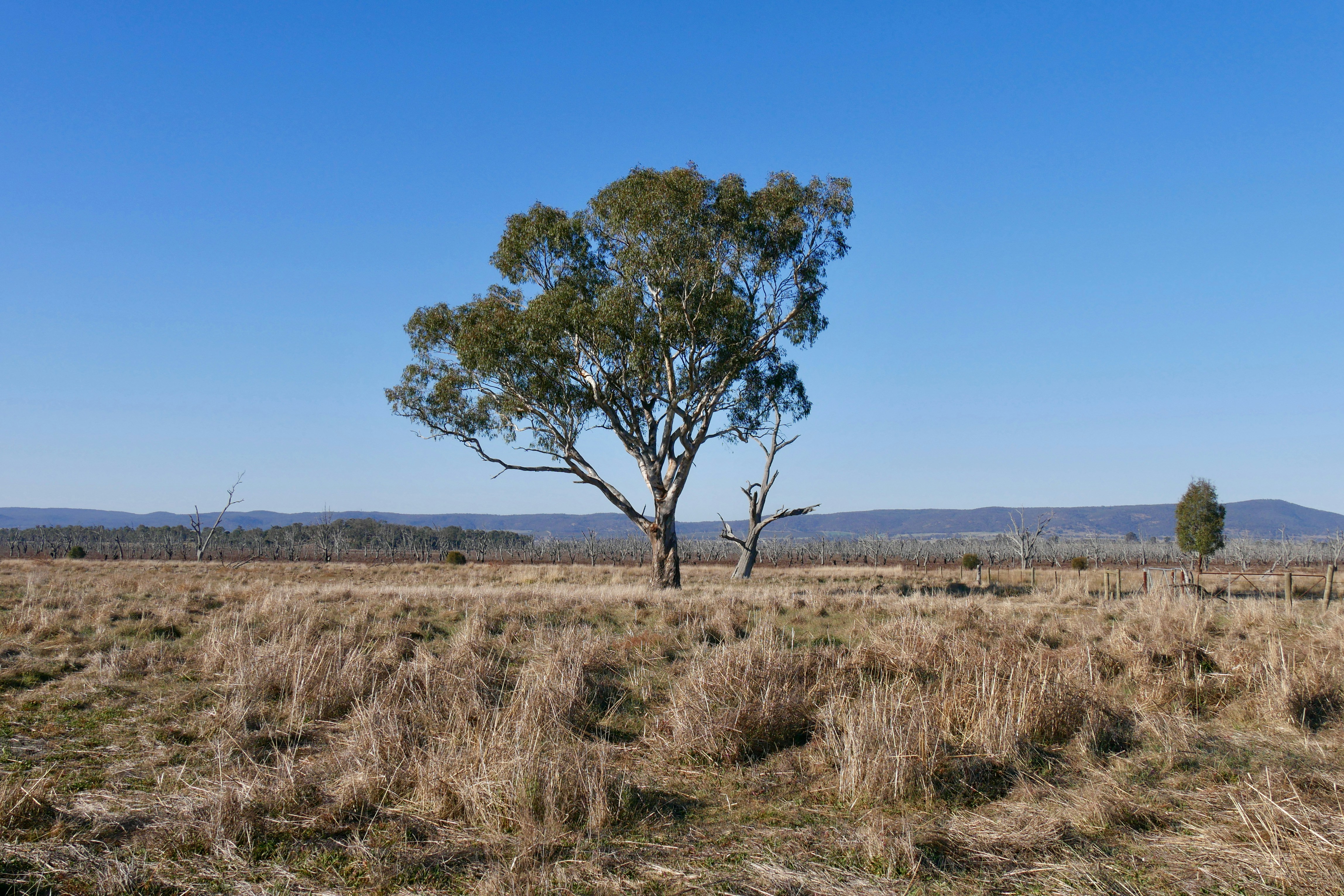 Photo by hunguyen250369