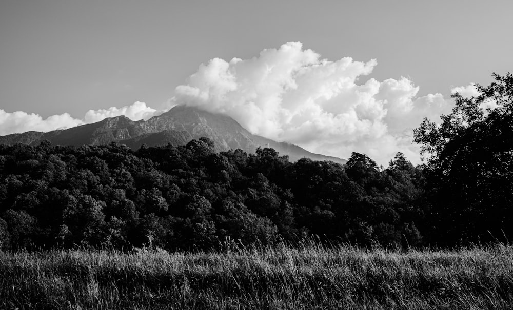 a black and white photo of a mountain range