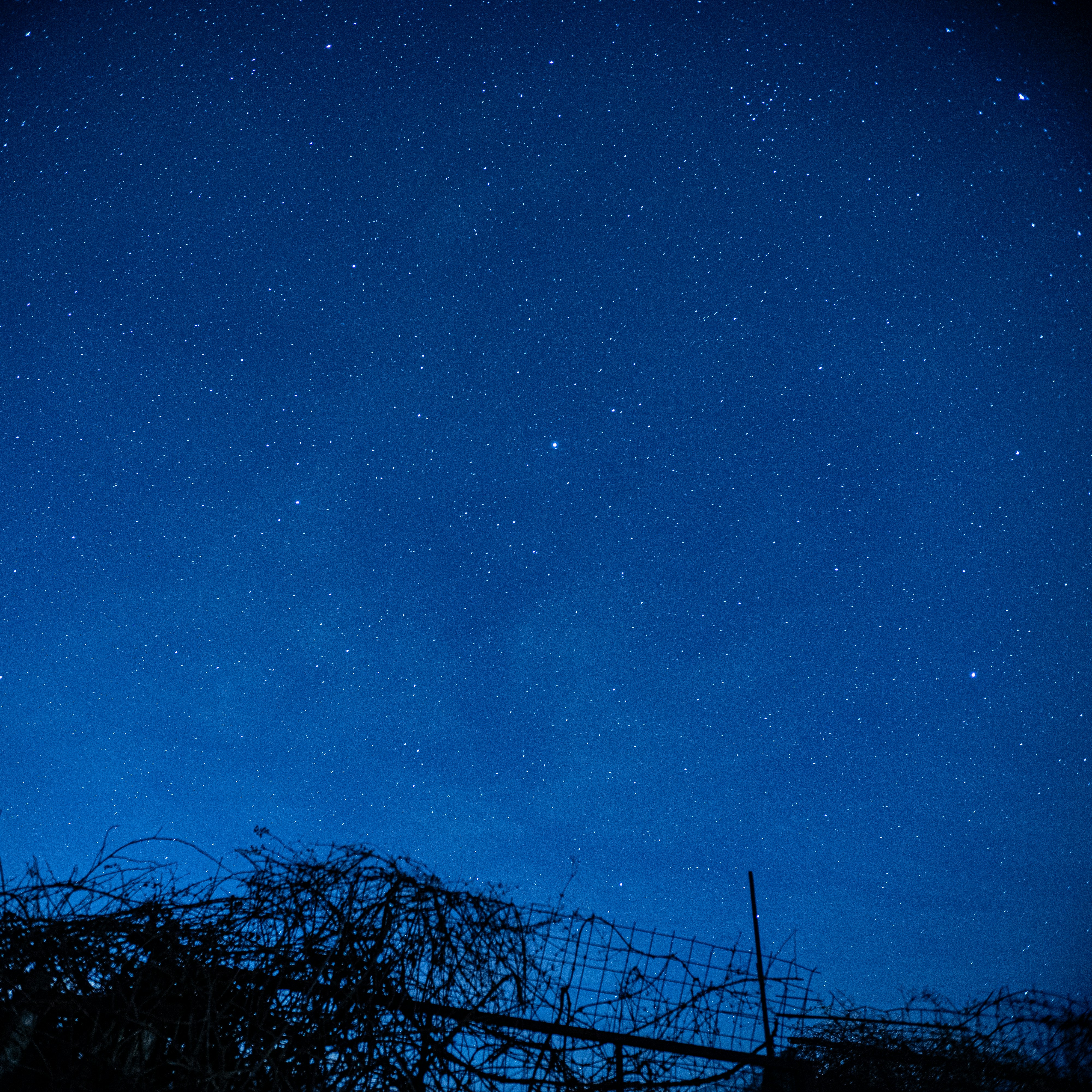 Photo by jaga_santagostino