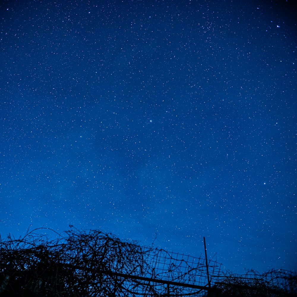 a night sky with stars above a fence